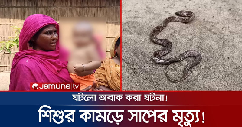 অবাক ঘটনা; শিশুর কামড়ে সাপের বাচ্চার মৃত্যু!