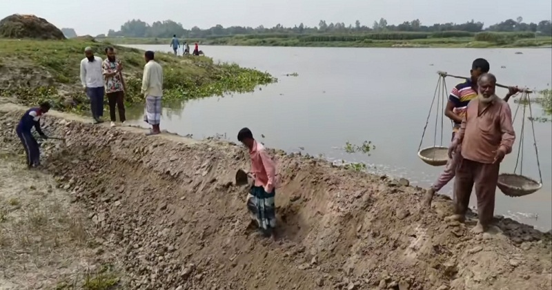 আত্রাইয়ে নদীর পানি বাড়ছে, পাকা ধান নিয়ে উদ্বেগে কৃষক