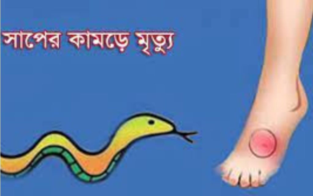 <span>কলা সরাতে গিয়ে বিপত্তি / </span>মান্দায় বিষধর সাপের দংশনে তরুণের মৃত্যু