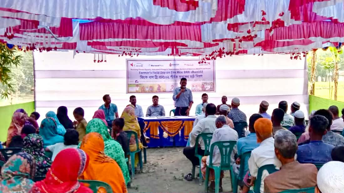 ঠাকুরগাঁওয়ে জিংক ব্রি ধান-১০২ শীর্ষক কৃষক মাঠ দিবস অনুষ্ঠিত