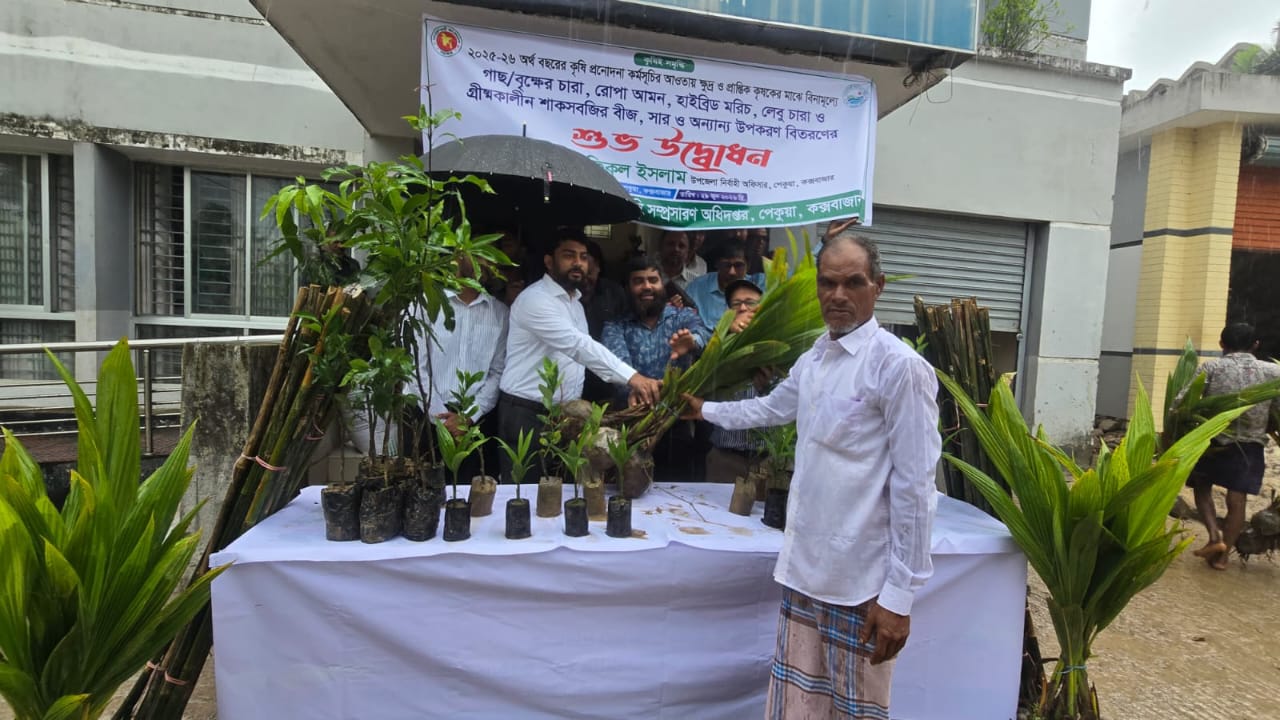 পেকুয়ায় প্রান্তিক কৃষকদের মাঝে বিনামূল্যে গাছ/বৃক্ষের চারা ও সার বিতরণ উদ্বোধন