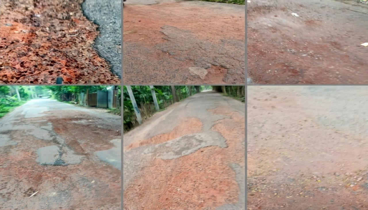 মরণফাঁদে রূপ নিয়েছে নারিকেলবাড়ীয়া-বাঘারপাড়া সড়ক