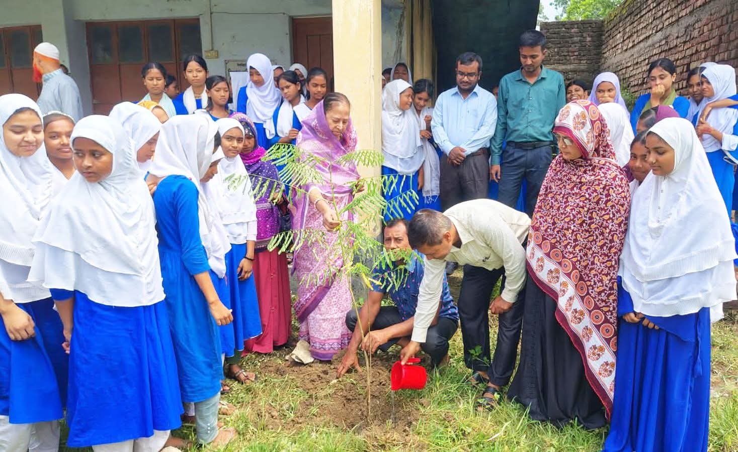 পাঁচবিবির বিনধারা বালিকা বিদ্যালয় চত্বরে বৃক্ষরোপণ কর্মসূচি