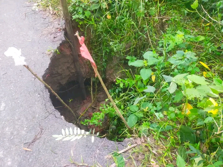 বান্দাইখাড়া-আত্রাই সড়কের শুটকিগাছা সুইচগেট এলাকায় সড়ক ধস,বড় দুর্ঘটনার আশঙ্কা