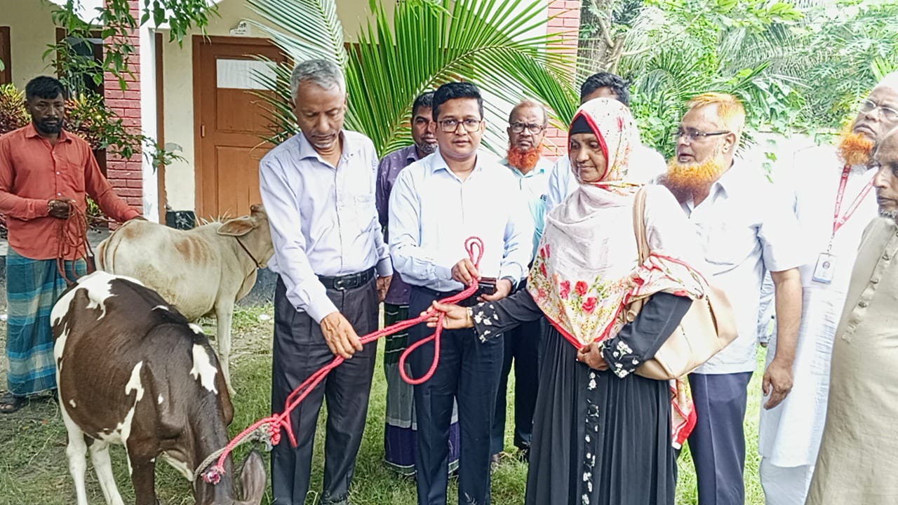 শিবচরে”হত দরিদ্র ৬টি পরিবারের মাঝে বিনামূল্যে  ভিলেজ ডেভেলপমেন্ট সোসাইটির গাভী বিতরন