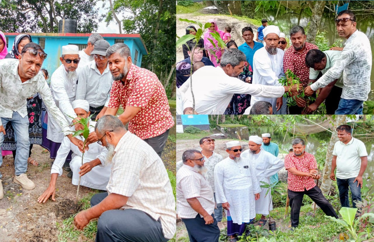 মাদারীপুরের টুবিয়া সরকারি প্রাথমিক বিদ্যালয় প্রাঙ্গনে বৃক্ষরোপন কর্মসূচি পালন