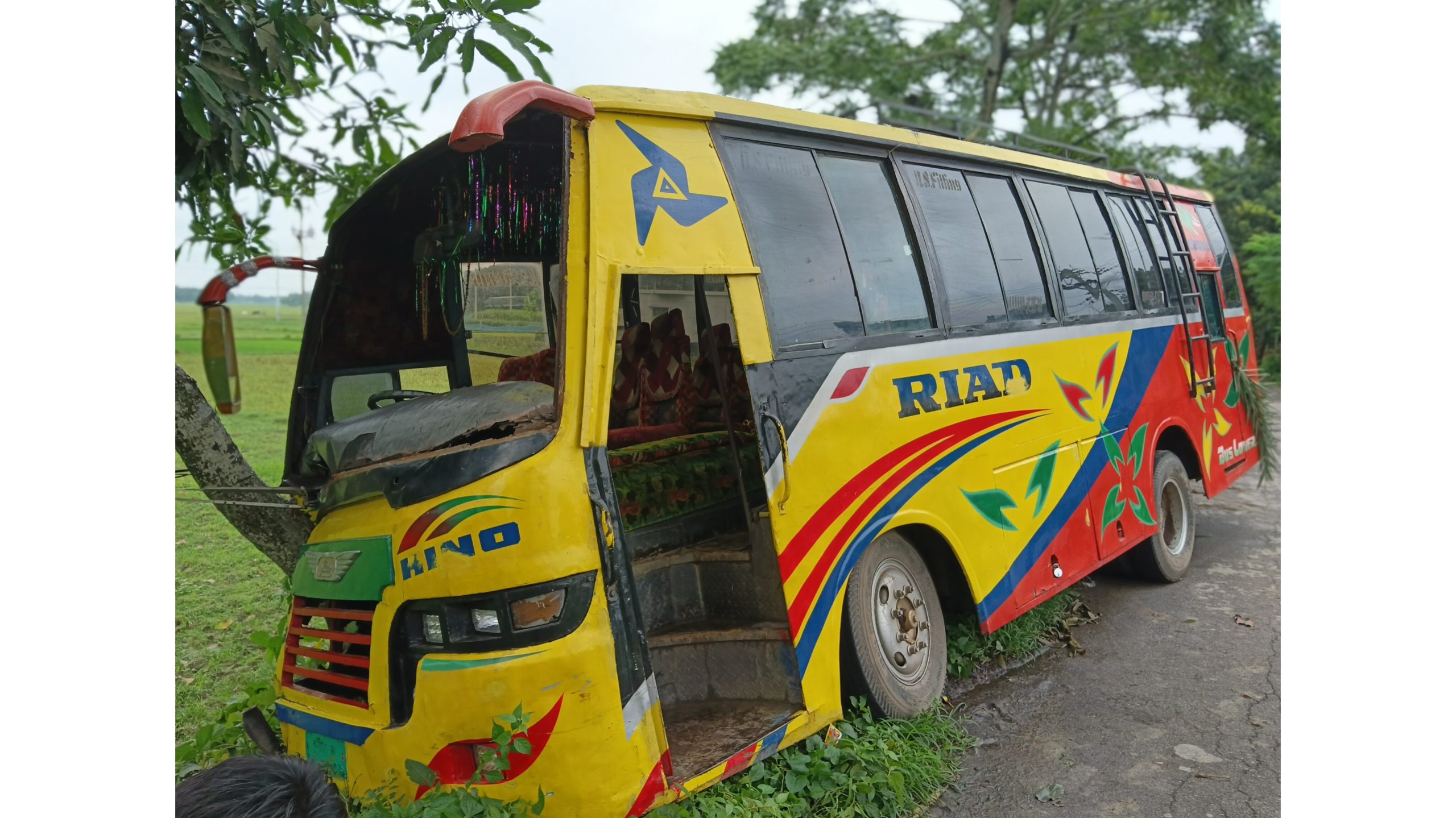 বাঘারপাড়ায় নিয়ন্ত্রণহীন বাস গাছে ধাক্কা, অক্ষত সব যাত্রী