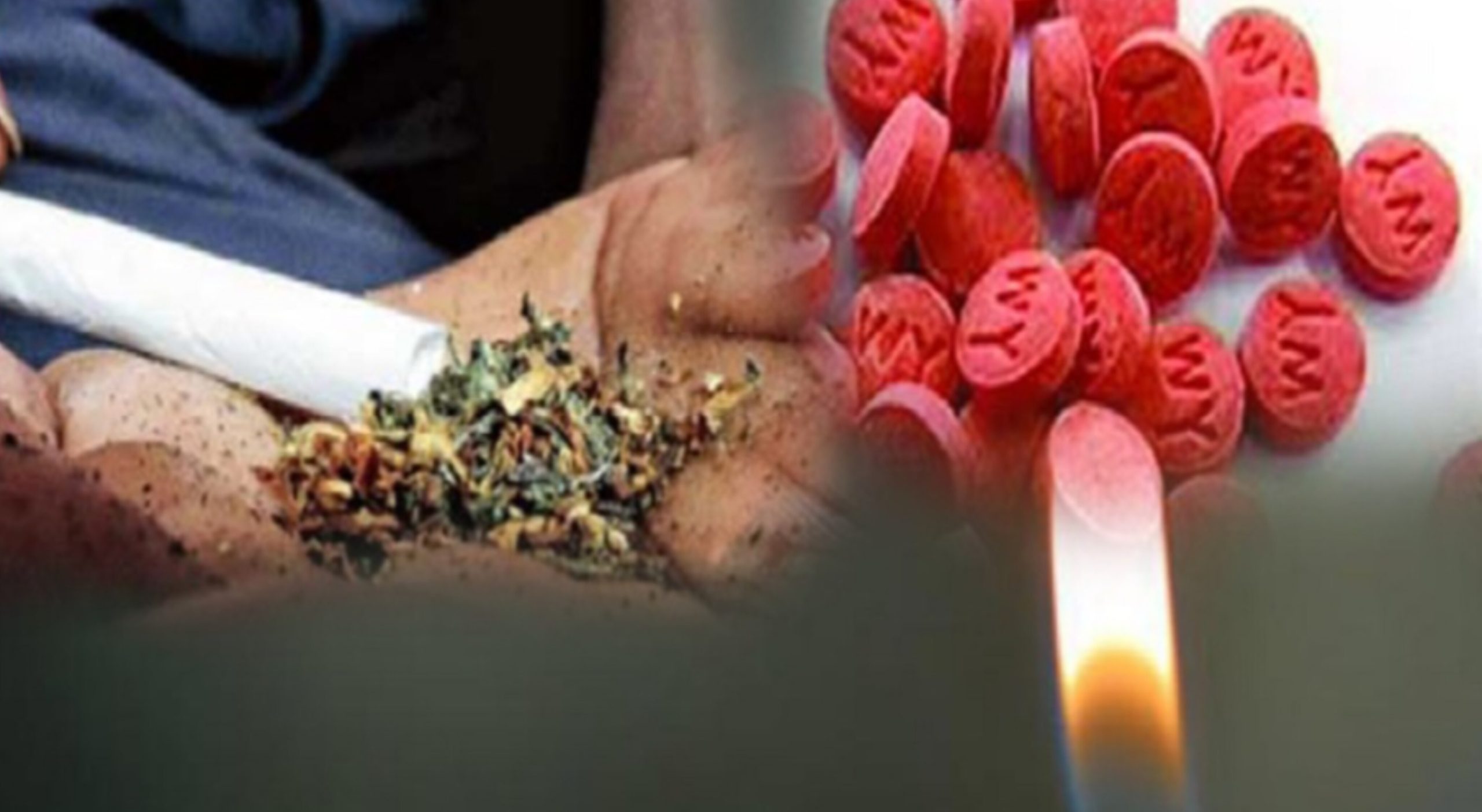 সীমান্ত দিয়ে বাড়ছে চোরাচালান: ময়মনসিংহে হাত বাড়ালেই মিলছে মাদক