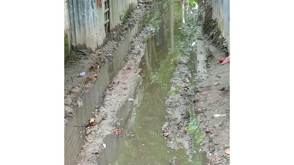 কালীগঞ্জ পৌরসভার রাস্তায় গর্ত ভোগান্তিতে ৩৫ পরিবার