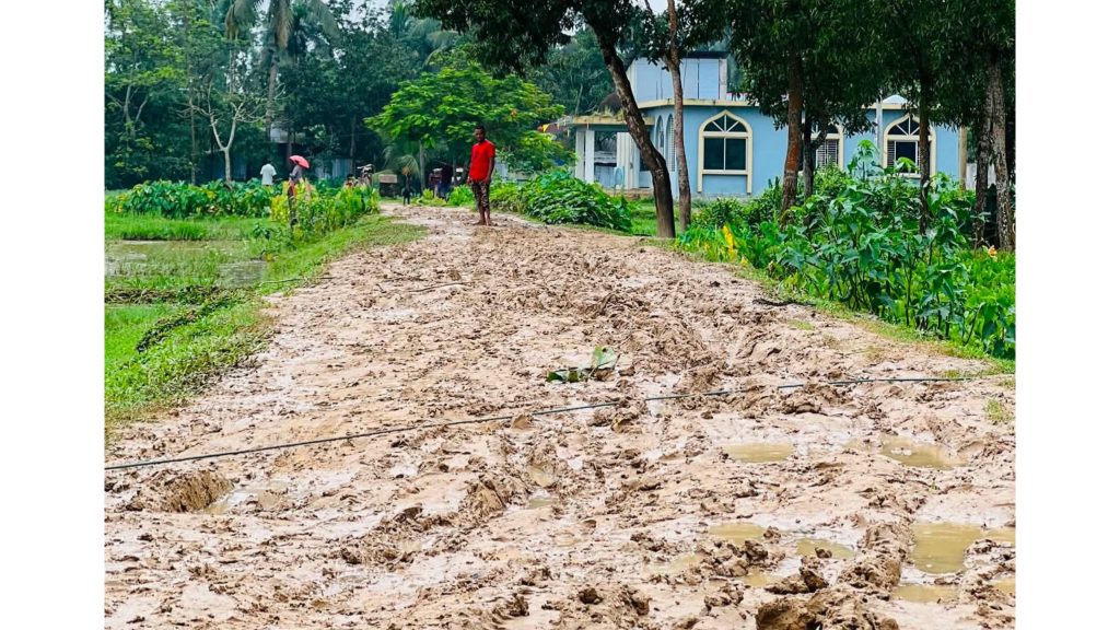 স্বাধীনতার পরেও উন্নয়নের ছোঁয়া নেই তালতলা গ্রামের কাঁচা রাস্তার