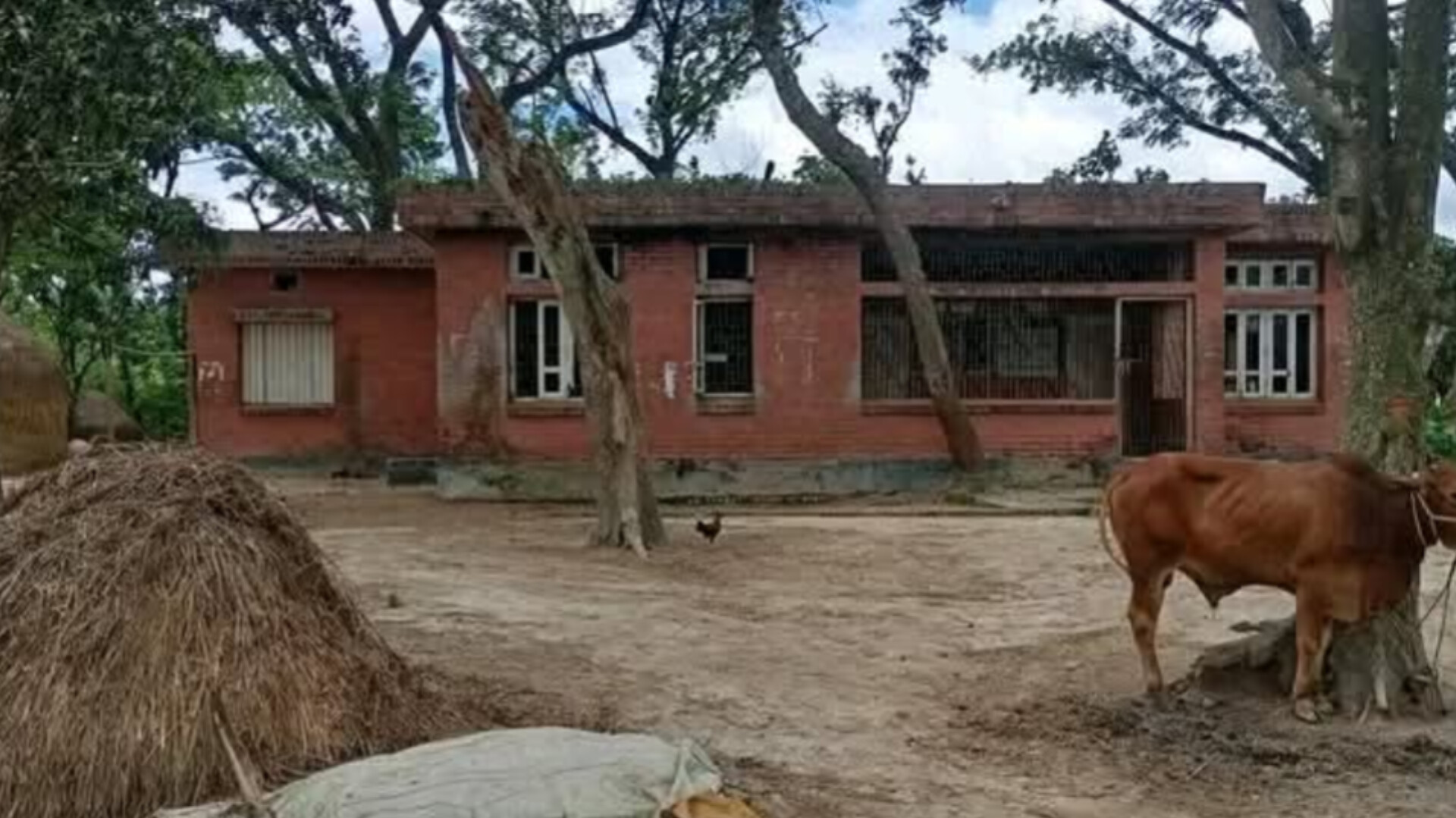শাহাগোলা উপস্বাস্থ্য কেন্দ্র অবহেলায় জরাজীর্ণ, দ্রুত সংস্কারের দাবি