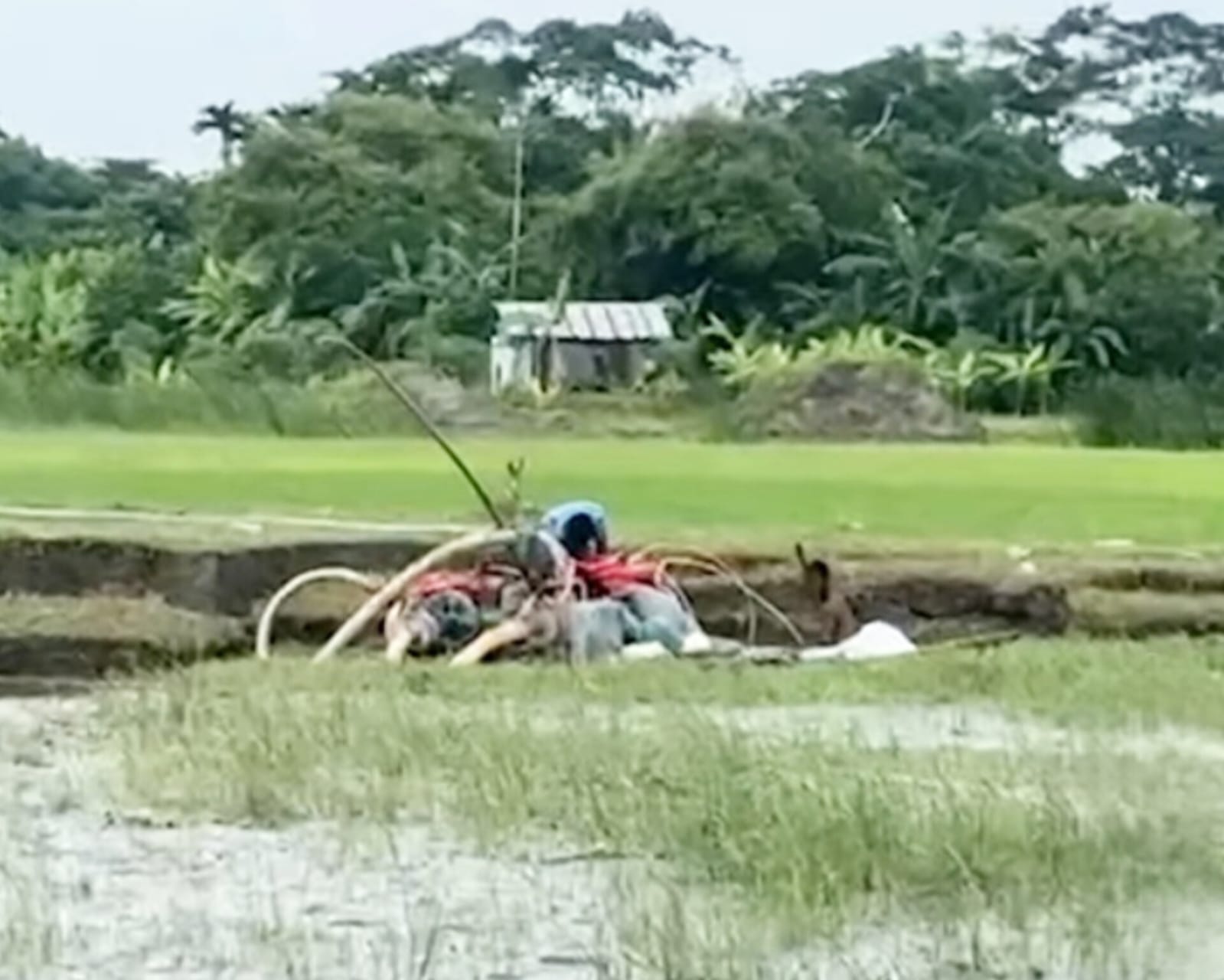 মেঘনার খাল রক্ষায় প্রশাসনের হস্তক্ষেপ চায় এলাকাবাসী