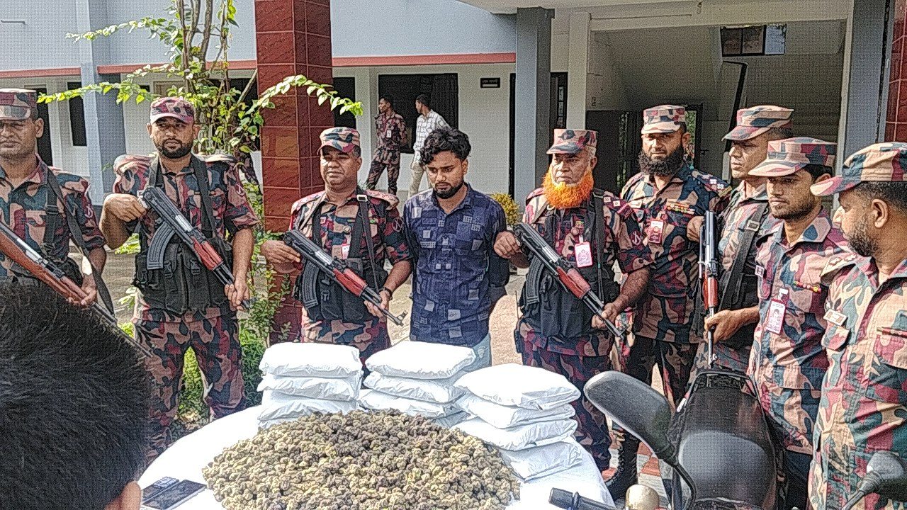 বাংলাদেশে নতুন মাদক ‘কুশ’: সাতক্ষীরায় বিজিবির অভিযানে ৬ কোটি টাকার চালান জব্দ