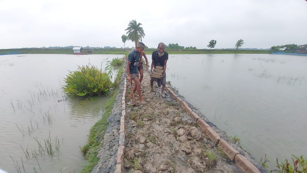 মোরেলগঞ্জে নিজ উদ্যোগে ১২শ’ ফুট রাস্তা সংস্কার করলেন এলাকাবাসী