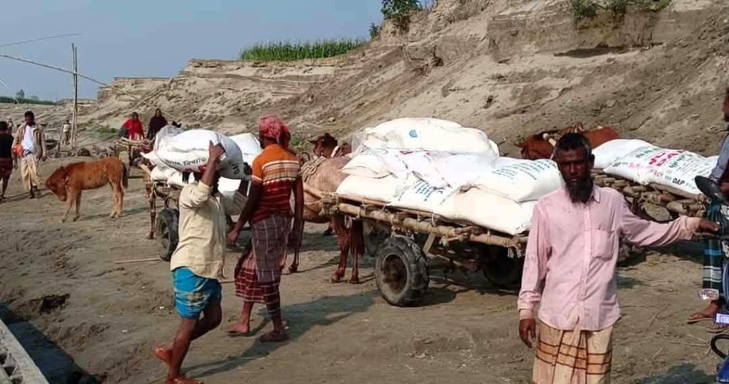 ফুলছড়িতে সারের বাজারে নৈরাজ্য, বিপাকে চরাঞ্চলের হাজারো কৃষক