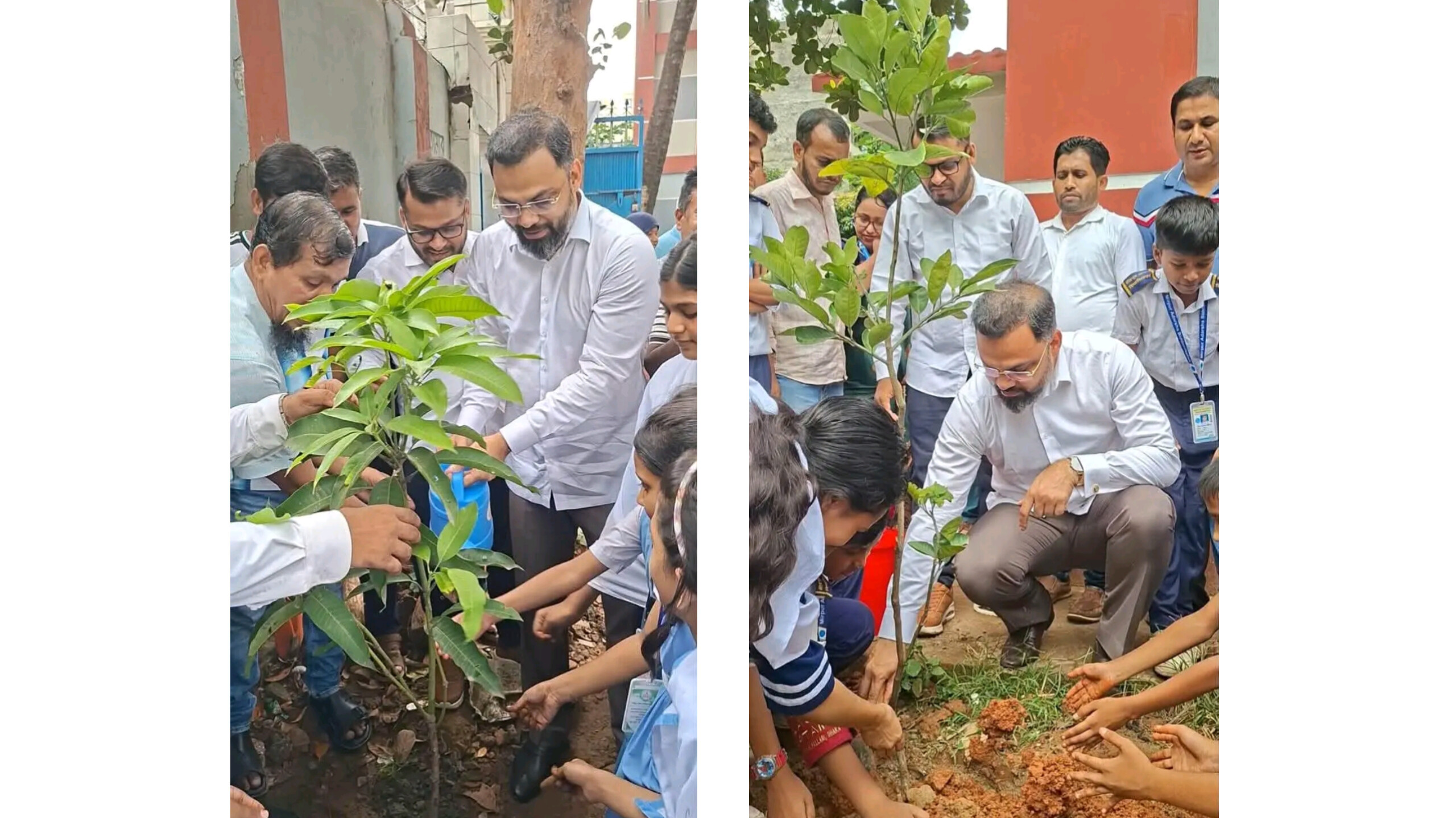সবুজ বাংলাদেশ গড়তে রাজধানীর তিন বিদ্যালয়ে বৃক্ষরোপণ করলেন যুব ও ক্রীড়া প্রতিমন্ত্রী