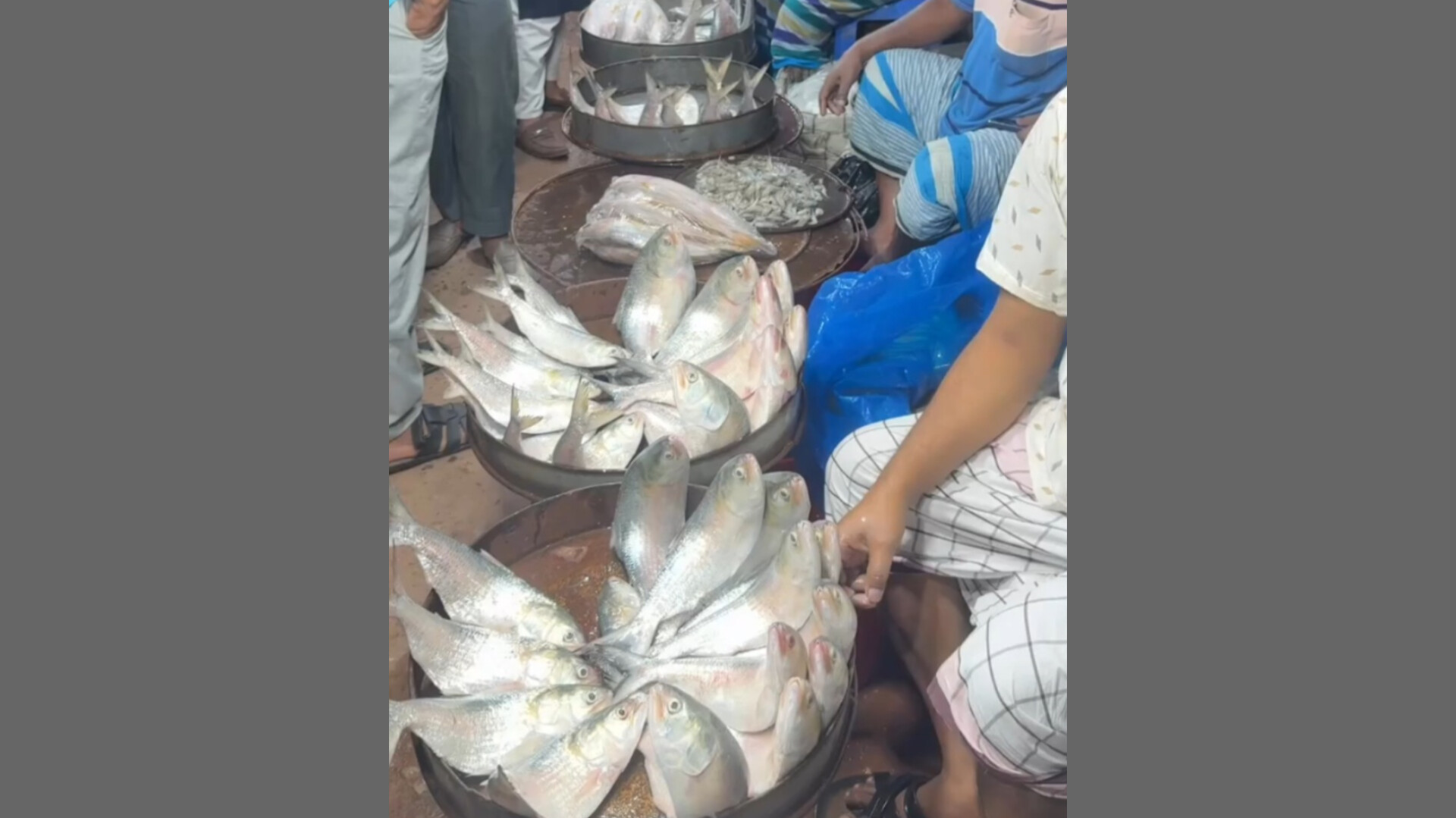 মধ্যস্বত্বভোগীদের দৌরাত্ম্যে ইলিশ কিনতে হিমশিম