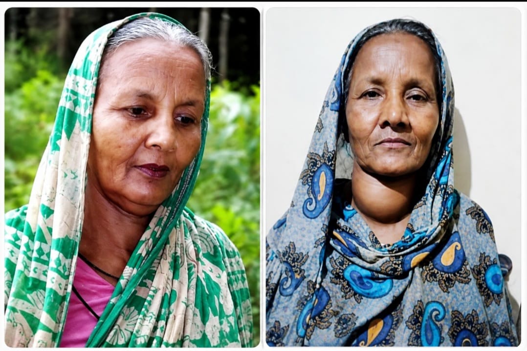 মাধবপুরে বীরাঙ্গনা ও যুদ্ধশিশুর ভিটেমাটি     দখলের অভিযোগমাধবপুরে বীরাঙ্গনা ও যুদ্ধশিশুর ভিটেমাটি দখলের অভিযোগ