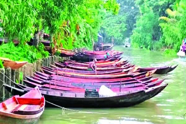 বর্ষায় জমে উঠেছে নেছারাবাদের ভাসমান ডিঙি নৌকার হাট
