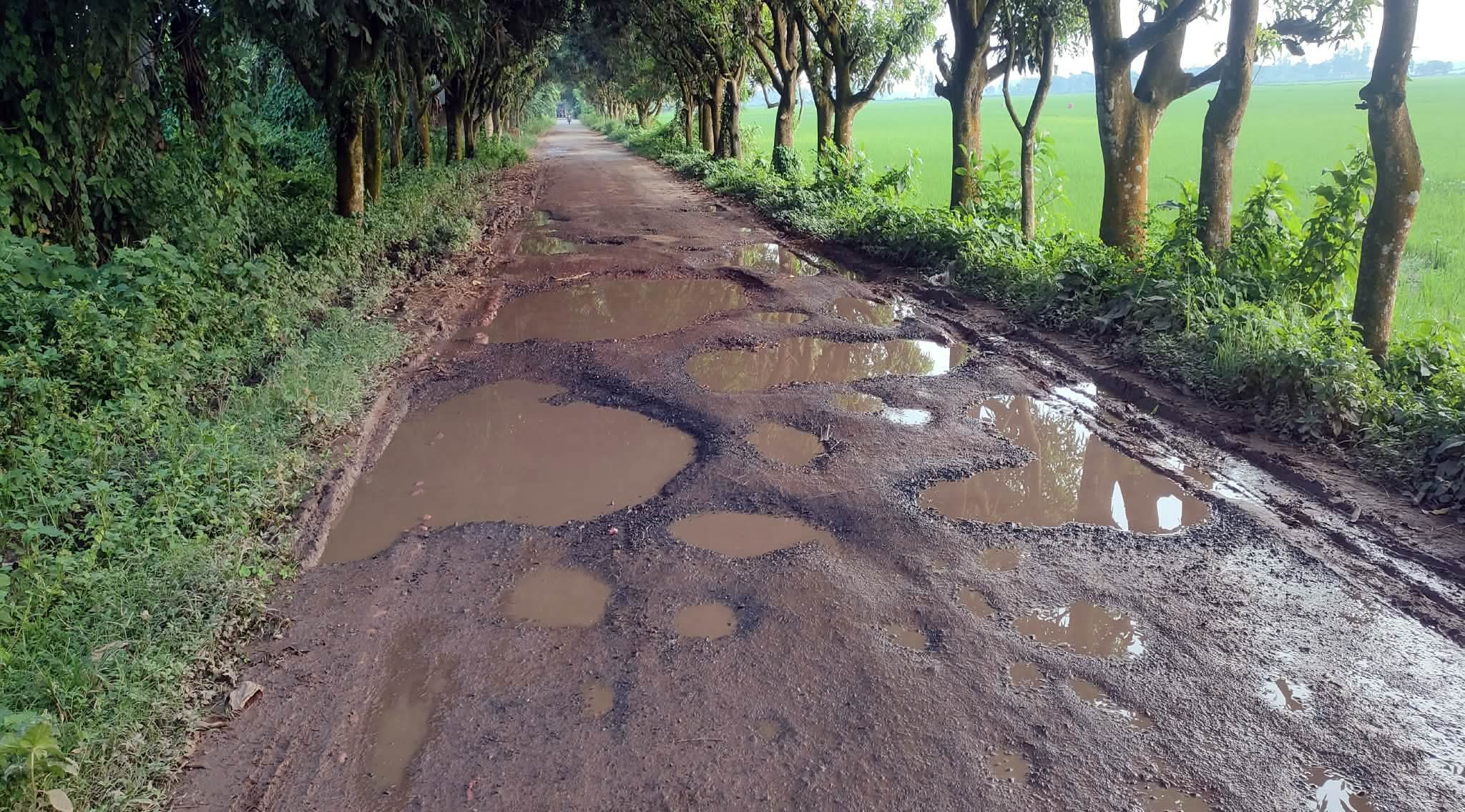 প্রশস্তকরণসহ মেরামত হচ্ছে খানাখন্দে ভরা রাণীনগরের আবাদপুকুর-আদমদীঘি সড়ক